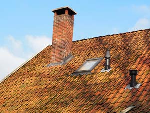 A naked man trying to climb down a chimney faces trespassing charges. Read more on this story in our blog.