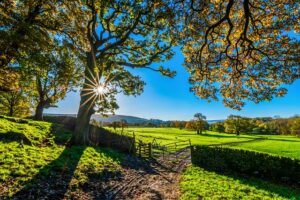 Trespassing Attorney in Fort Collins </br>Criminal Trespass: Petty Offense, Misdemeanor, and Felony